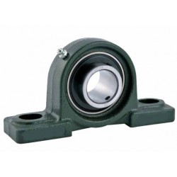 Supporti UCP 206 SKF